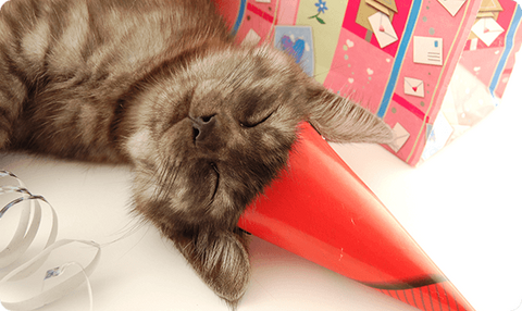 Gift Card Happy Birthday Cat