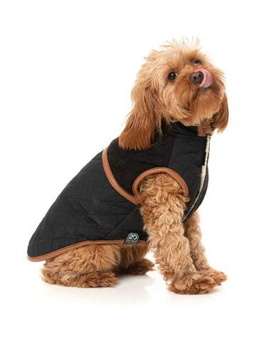 Fuzzyard Ivanhoe Dog Jacket