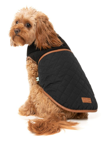 Fuzzyard Ivanhoe Dog Jacket