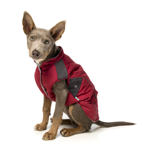 Fuzzyard Adventurer Dog Jacket