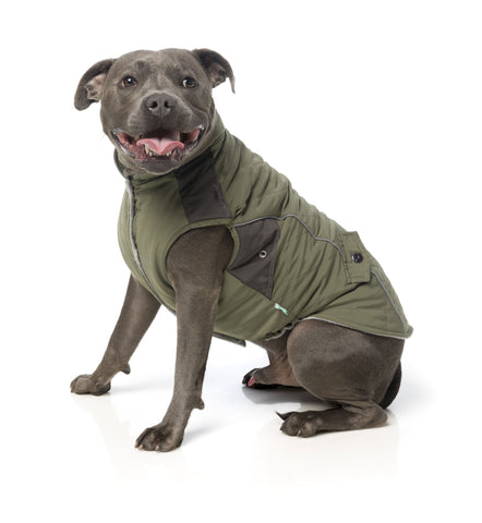 Fuzzyard Adventurer Dog Jacket