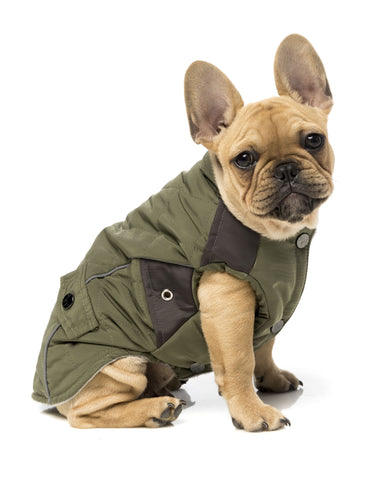 Fuzzyard Adventurer Dog Jacket