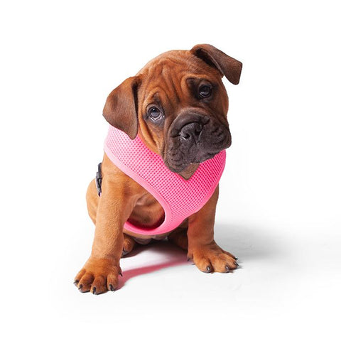 Kazoo Pink Classic Harness