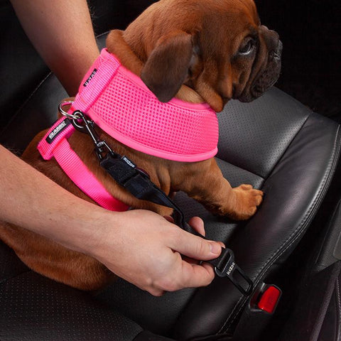 Kazoo Pink Classic Harness