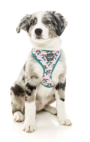 Fuzzyard  LL Cool Jaws Dog Harness