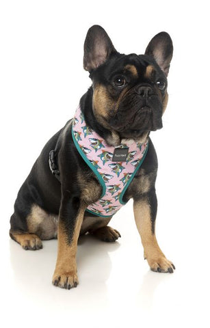 Fuzzyard  LL Cool Jaws Dog Harness