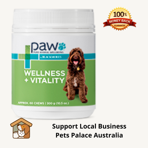 Blackmores Wellness & Vitality Multi Vitamins For Dogs