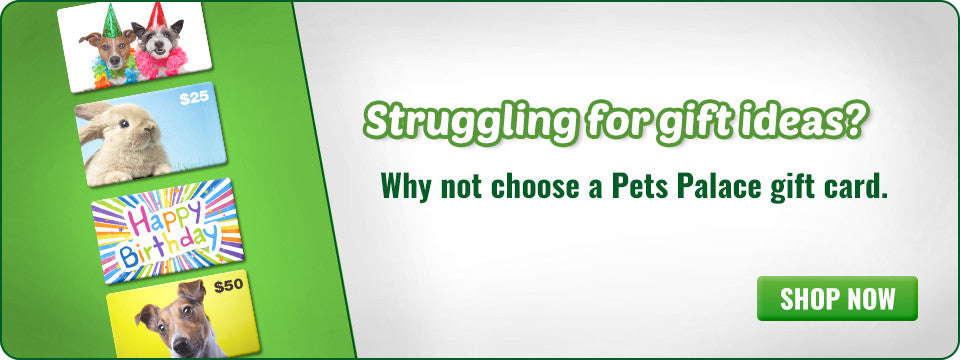 Pets Palace Australia | Buy Quality Dog & Cat Products at Great Prices